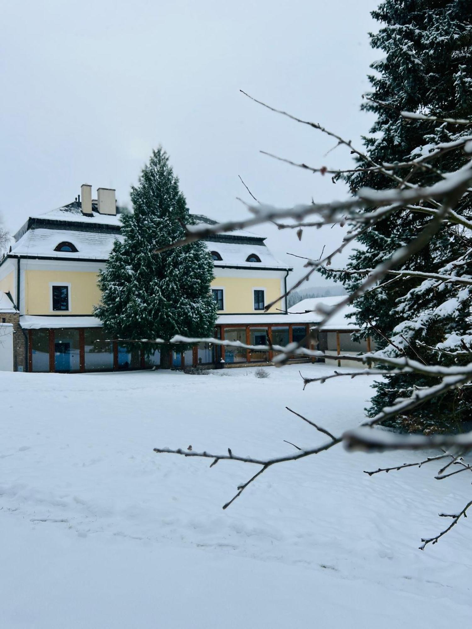 Lisensky Dvur 4* Sněžné