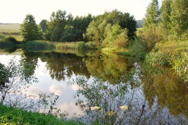 Lisensky Dvur Gasthof Sněžné
